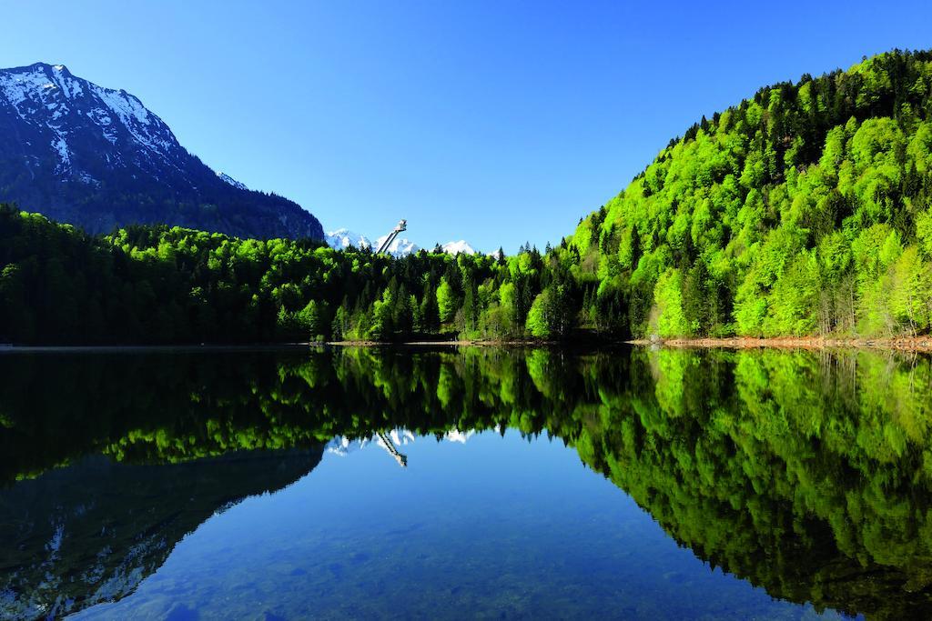 Alpe Guest house 3*